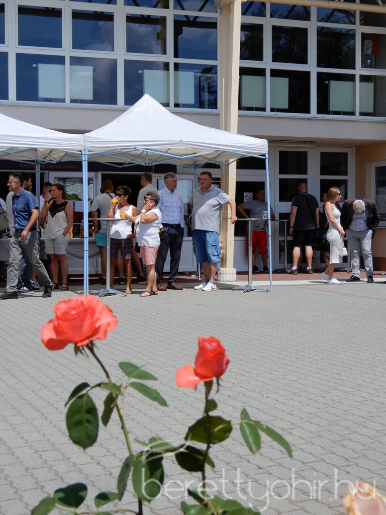 Semmelweis napi party 80